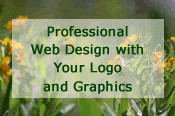 Hands On Web Design Services